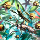 Image for article titled Intense graphic novel about insects is like Dr. Seuss meets Darwin